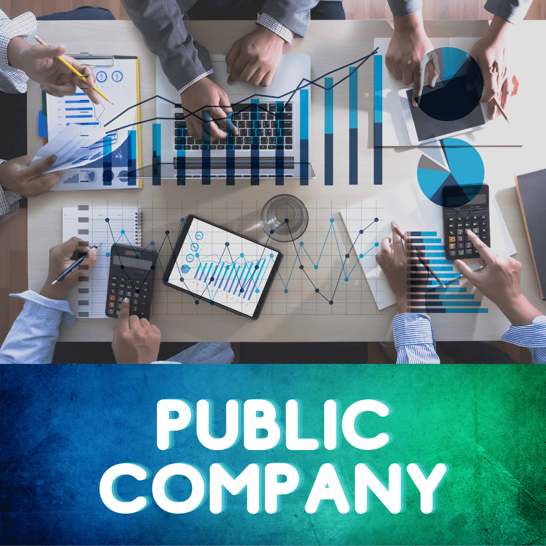 Public Company